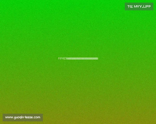 FIFA23世界杯韩国队征战之路回顾与精彩瞬间全记录分析揭秘